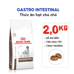 Thức Ăn Hạt Hỗ Trợ Tiêu Hóa Cho Chó Royal Canin Gastrointestinal