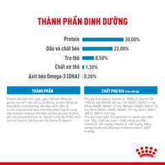 Thức Ăn Hạt Cho Chó Mini Starter Mother&Babydog