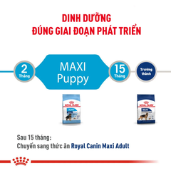 Thức Ăn Hạt Cho Chó Maxi Puppy