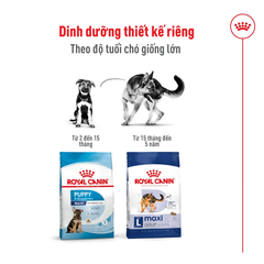 Thức Ăn Hạt Cho Chó Maxi Adult