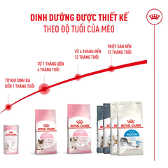 Thức Ăn Hạt Cho Mèo Mẹ & Mèo Con Royal Canin Mother & Babycat