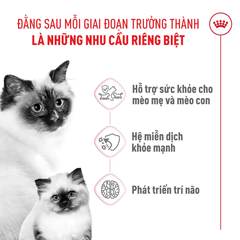 Thức Ăn Hạt Cho Mèo Mẹ & Mèo Con Royal Canin Mother & Babycat