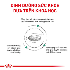 Thức Ăn Hạt Cho Mèo Tiểu Đường Royal Canin Diabetic