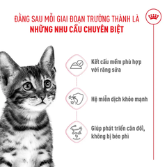 Thức Ăn Hạt Cho Mèo Con Royal Canin Kitten