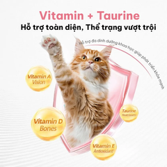 Snack cho thú cưng hỗ trợ miễn dịch Dr.Vet