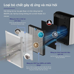Lõi lọc không khí Everest Air