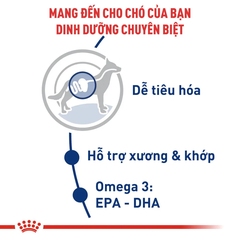 Thức Ăn Hạt Cho Chó Maxi Adult