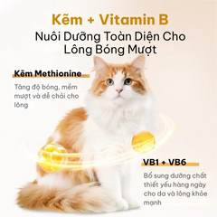 Snack cho thú cưng hỗ trợ da lông khỏe mượt Dr.Vet