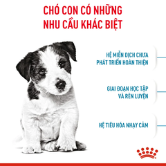 Thức Ăn Hạt Cho Chó Con Giống Nhỏ Royal Canin Mini Puppy