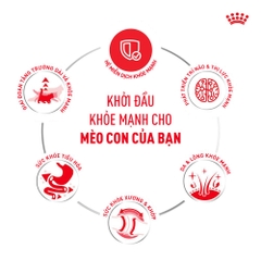 Pate Cho Mèo Kích Thích Giác Quan Royal Canin Sensory