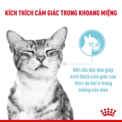Pate Cho Mèo Kích Thích Giác Quan Royal Canin Sensory