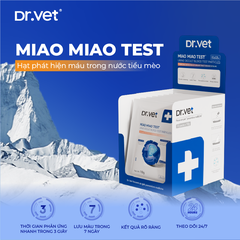 Hạt test máu trong nước tiểu mèo DR.VET