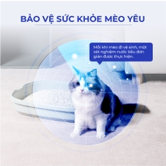 Hạt đo pH nước tiểu mèo