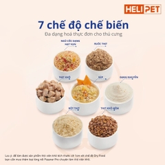 Máy làm pate cho chó mèo Fassner Pro