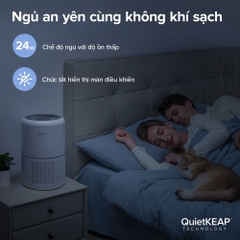 Máy lọc không khí Levoit Core 300