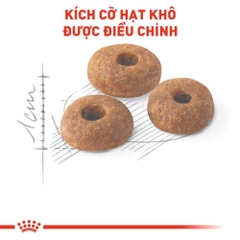 Thức Ăn Hạt Cho Mèo Trưởng Thành Royal Canin Fit 32