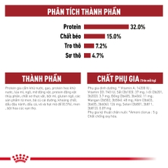 Thức Ăn Hạt Cho Mèo Trưởng Thành Royal Canin Fit 32