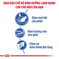 Thức Ăn Hạt Cho Mèo Trưởng Thành Nuôi Trong Nhà Royal Canin Indoor 27