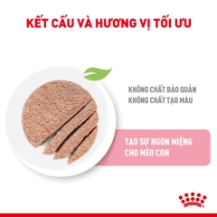 Pate Cho Mèo Con Royal Canin Kitten Instinctive