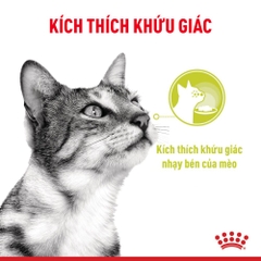 Pate Cho Mèo Kích Thích Giác Quan Royal Canin Sensory