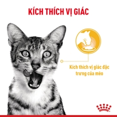 Pate Cho Mèo Kích Thích Giác Quan Royal Canin Sensory