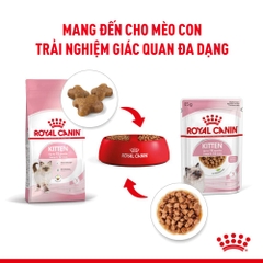 Pate Cho Mèo Con Royal Canin Kitten Instinctive