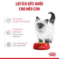 Pate Cho Mèo Con Royal Canin Kitten Instinctive