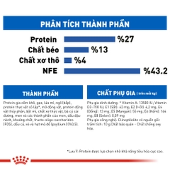 Thức Ăn Hạt Cho Mèo Trưởng Thành Nuôi Trong Nhà Royal Canin Indoor 27