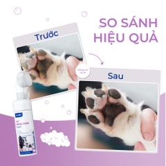 Sữa tắm khô cho chó mèo DR.VET