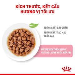 Pate Cho Mèo Con Royal Canin Kitten Instinctive