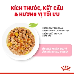Pate Cho Mèo Con Royal Canin Kitten Instinctive