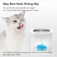 Máy lọc nước PETKIT Solo SE - Bơm không dây