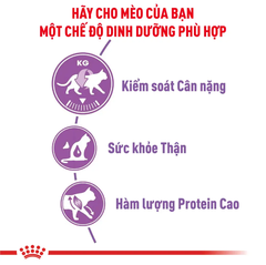 Hạt Cho Mèo Triệt Sản Trưởng Thành Royal Canin Sterilised 37