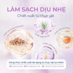 Sữa tắm khô cho chó mèo DR.VET