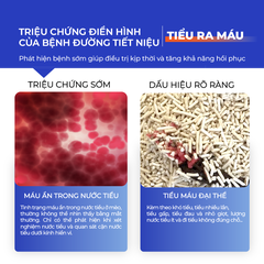 Hạt test máu trong nước tiểu mèo DR.VET