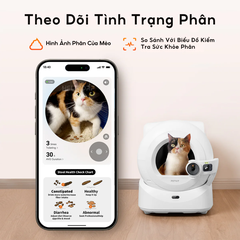 Máy dọn vệ sinh mèo Petkit Purobot Ultra có Camera AI
