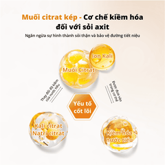 Viên kiềm hóa tiết niệu cho chó mèo Dr.Vet