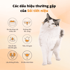 Viên kiềm hóa tiết niệu cho chó mèo Dr.Vet
