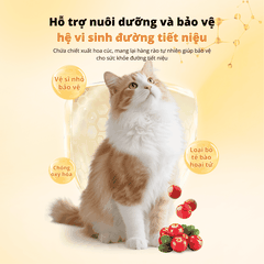 Viên kiềm hóa tiết niệu cho chó mèo Dr.Vet