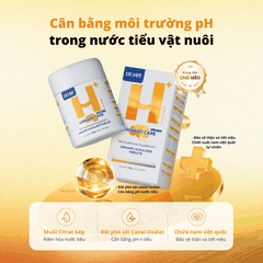 Viên kiềm hóa tiết niệu cho chó mèo Dr.Vet
