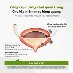 Viên hỗ trợ sức khỏe tiết niệu cho chó mèo Dr.Vet