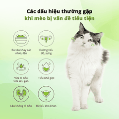 Viên hỗ trợ sức khỏe tiết niệu cho chó mèo Dr.Vet