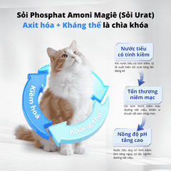 Viên tiết niệu cân bằng pH cho chó mèo Dr.Vet