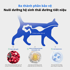 Viên tiết niệu cân bằng pH cho chó mèo Dr.Vet