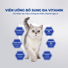 Vitamin tổng hợp cho mèo DR.VET có kháng thể IGY (200 viên)