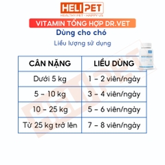 Vitamin tổng hợp cho chó DR.VET