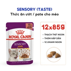 Pate Cho Mèo Kích Thích Giác Quan Royal Canin Sensory
