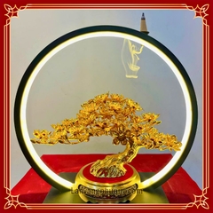 Mai Vàng Phú Quý - MVPQ024