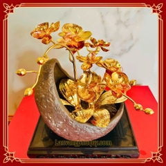 Lan vàng Phú Quý mini - LVMN02