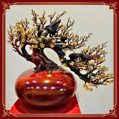 Mai Vàng Phú Quý - MVPQ02